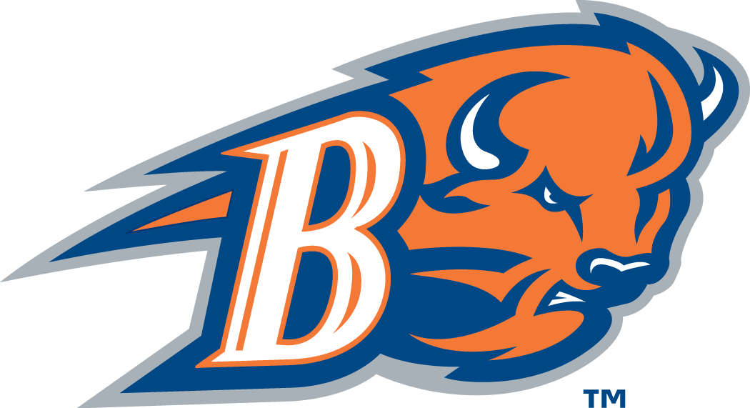 Bucknell Bison 2002-Pres Alternate Logo 02 iron on paper